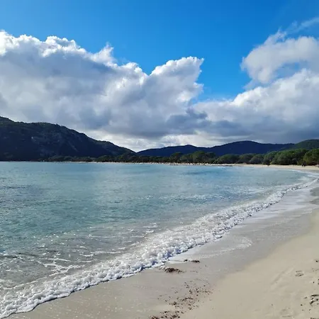 Maison Avec Piscine Chauffée * Porto Vecchio