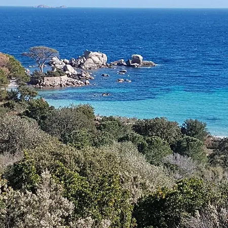 Villa Maison Avec Piscine Chauffée Porto Vecchio