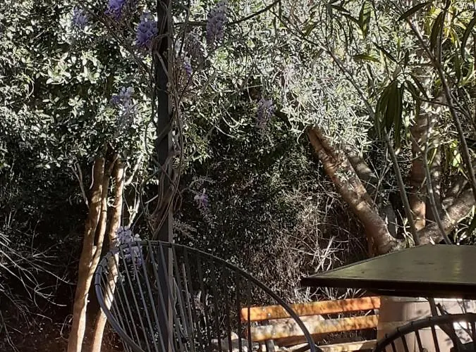 Maison Avec Piscine Chauffee * Porto-Vecchio (Corsica)
